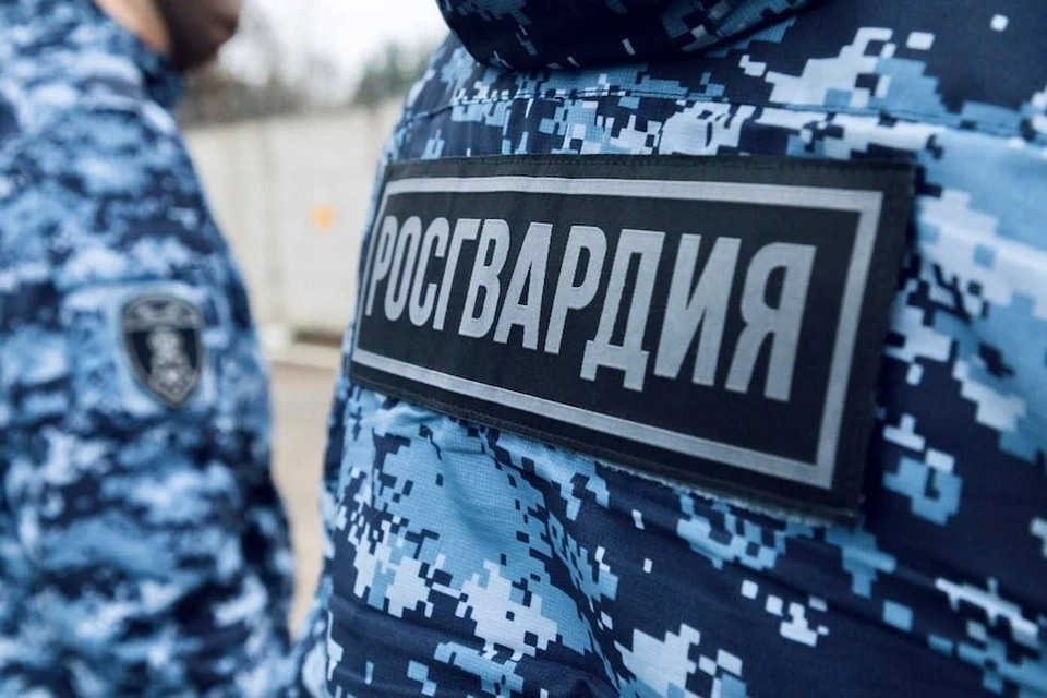 Житель Подольска пытался украсть из магазина продукты на 12 тысяч рублей. Фото: пресс-служба ГУ Росгвардии