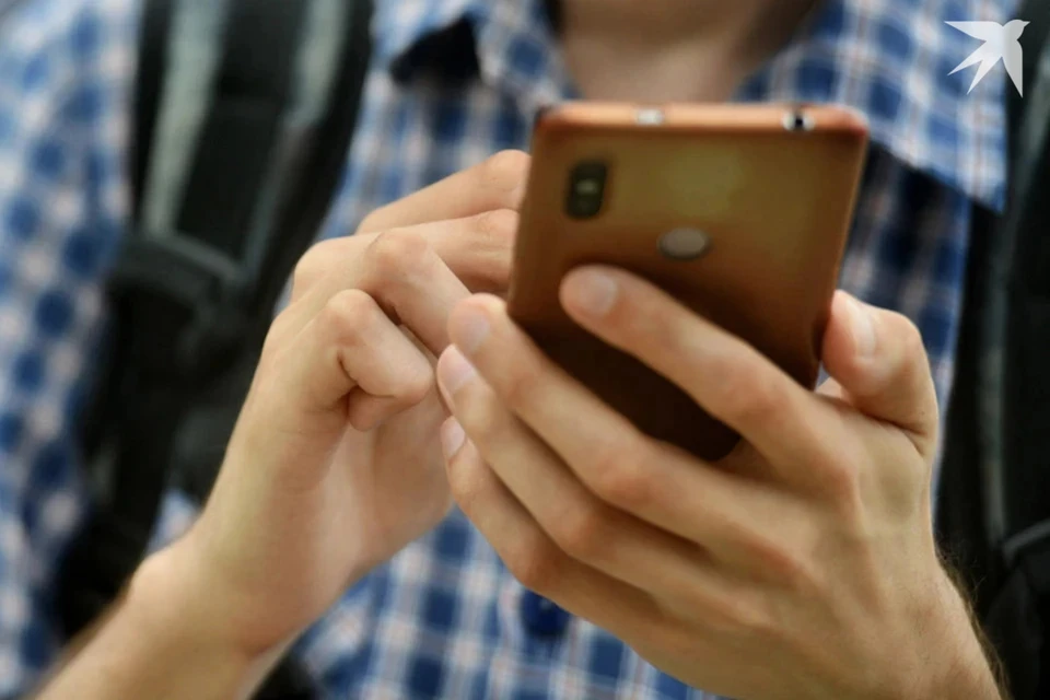 Новая мошенническая схема с поиском работы появилась в Беларуси. Снимок носит иллюстративный характер.