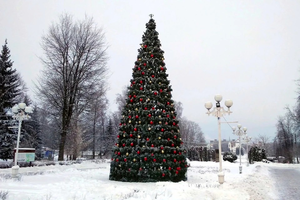 В этом году новогодних ёлок в городе будет больше.