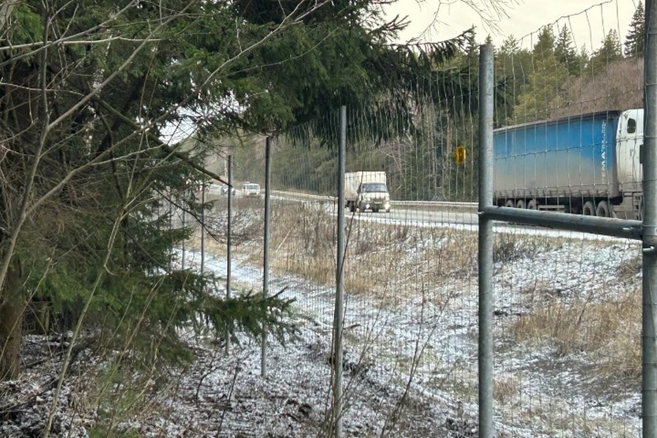 На дороге Ижевск – Воткинск установили сетчатое ограждение от диких животных. Фото: udmurt.ru