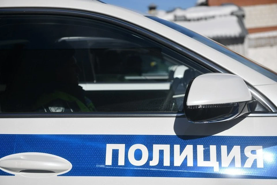 В Мелитополе полиция поймала гражданина. подозреваемого в краже