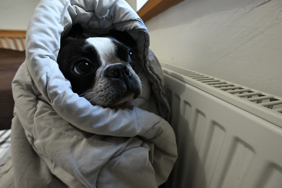 Подачу отопления обещают восстановить после завершения ремонта.