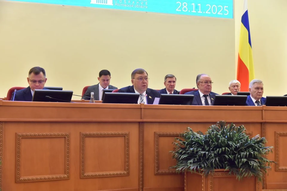 Несмотря на уменьшение расходов бюджета, все социальные обязательства будут выполнены. Фото: Заксобрание Ростовской области.