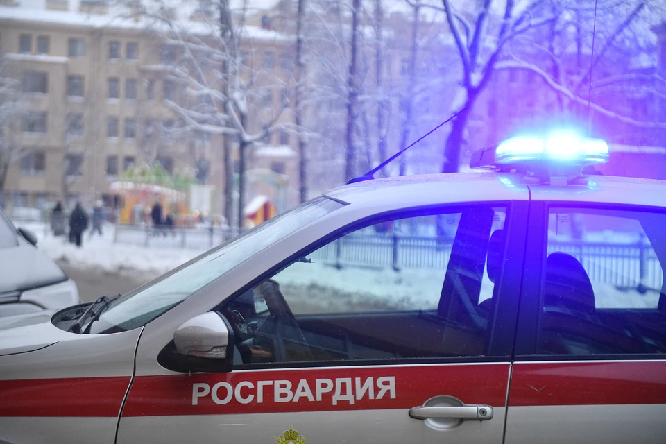 Росгвардейцы задержали водителя.