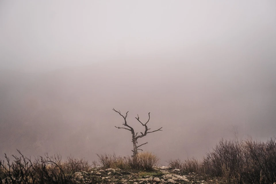 На Херсонщине ожидается туманная погода.