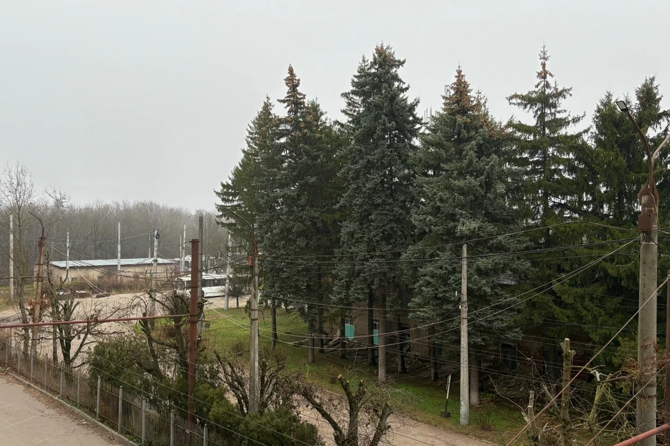 С самого утра 1 декабря город окутал густой туман