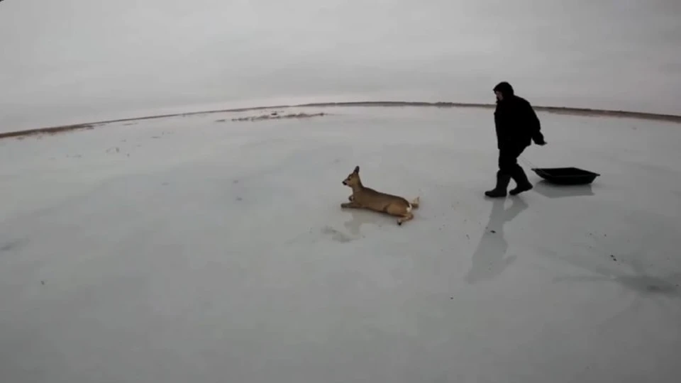 Скриншот видео Ильи Зайцева.