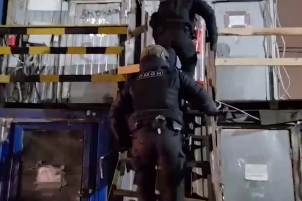 Мигрантов попросили предоставить документы. Фото: Росгвардия по Северо-Западу