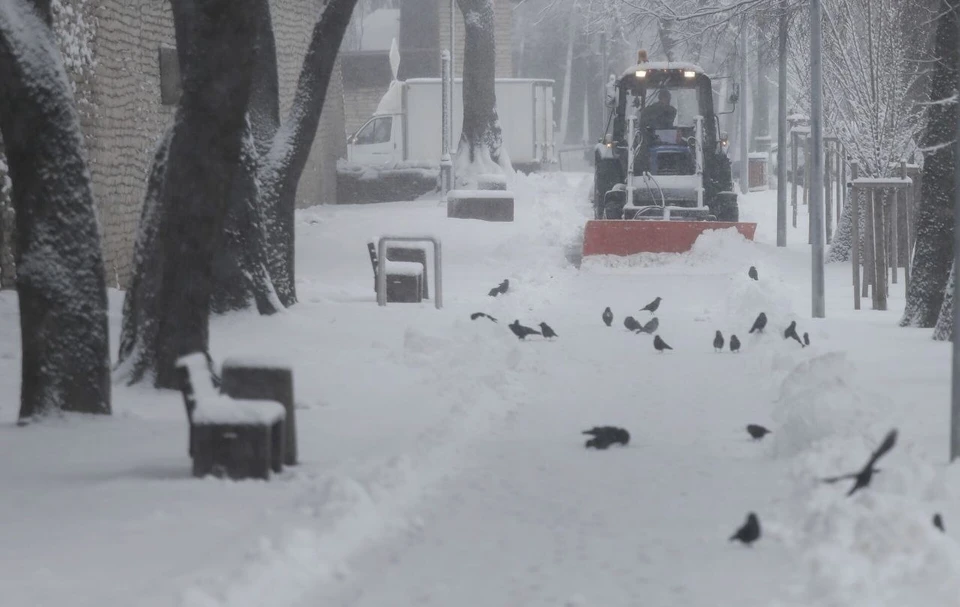 Фото: Андрей Степанов