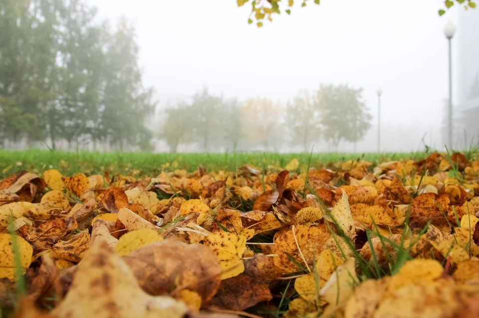 Краткие дожди могут пройти в регионе 4 декабря