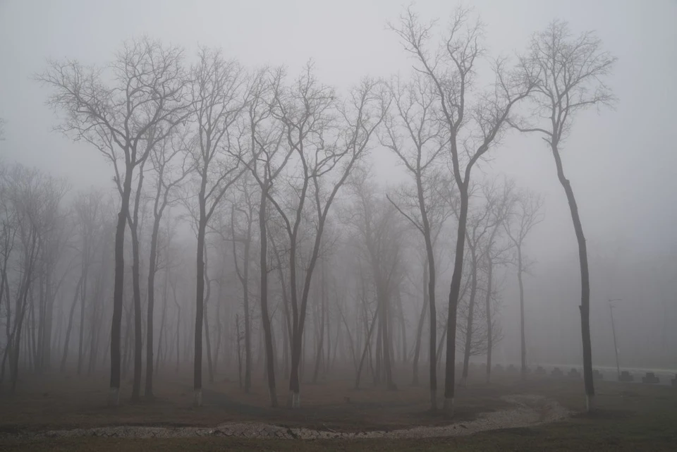 Объявлен желтый уровень опасности