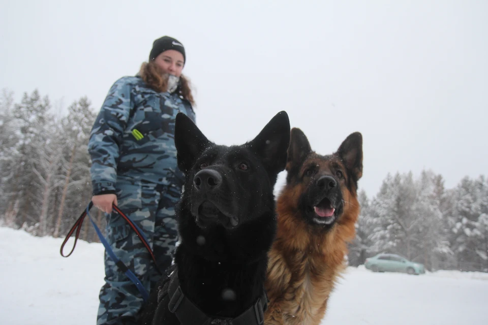 В Михайловске на Ставрополье эвакуировали школу №25