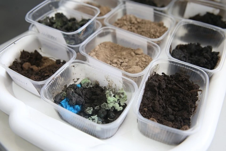 Фото: ФГБУ "ВНИИЗЖ".