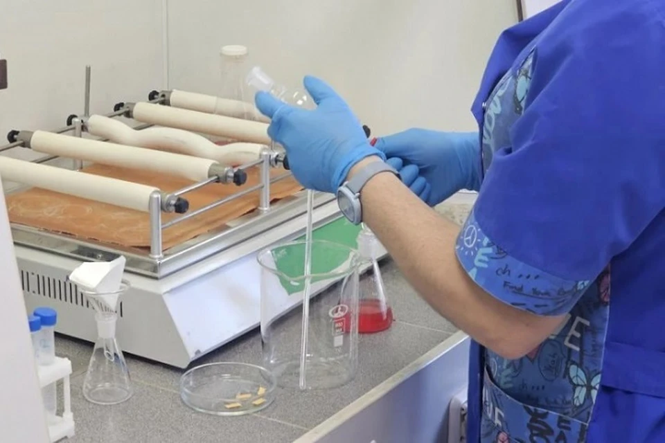 Хабаровские эксперты помогли идентифицировать погибших в зоне СВО Фото: пресс-служба министерства здравоохранения края