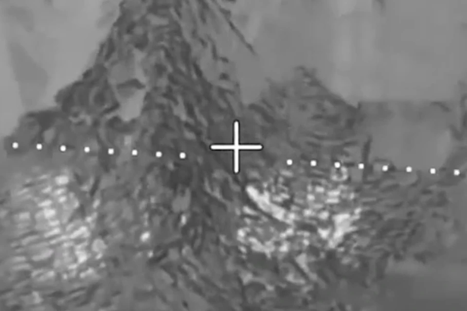 Фото: скриншот из видео Минобороны РФ