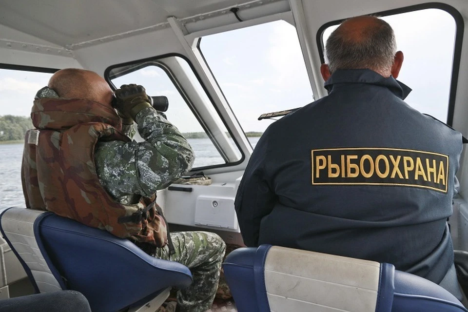 Полтонны морепродуктов на 3,2 миллиона рублей изъяли в Магаданской областыб