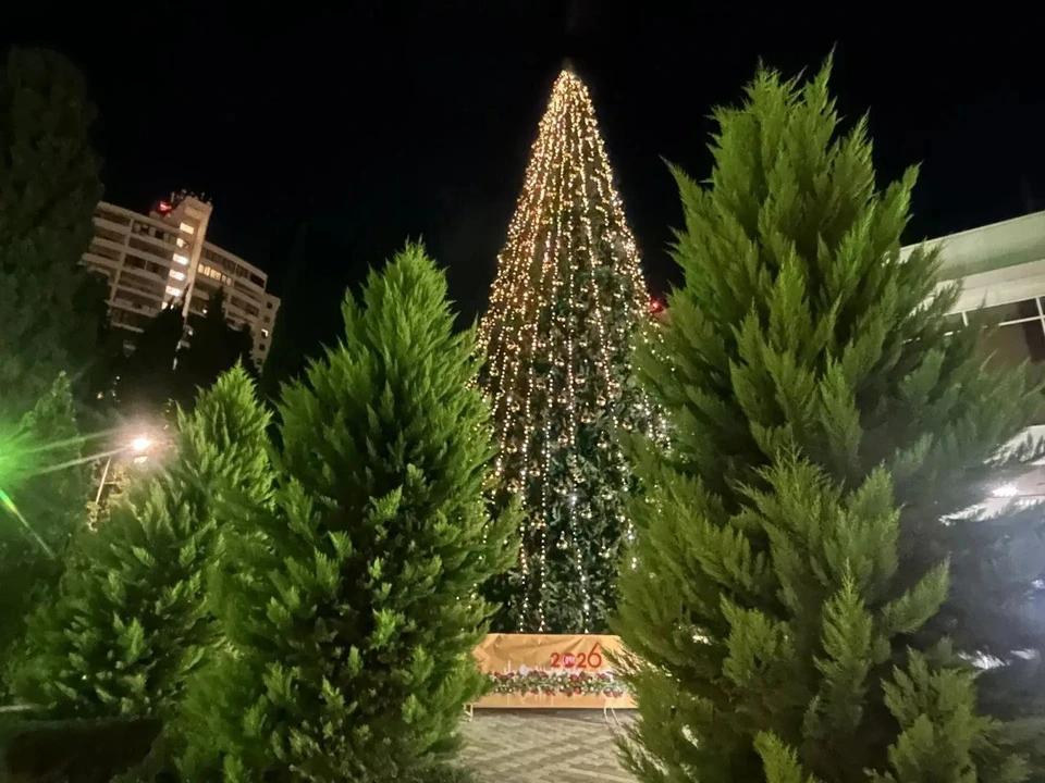 Фото пресс-службы мэрии Сочи