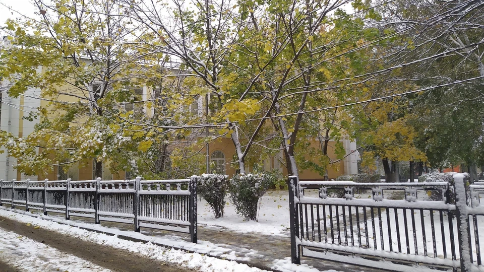 Фото из архива КП.