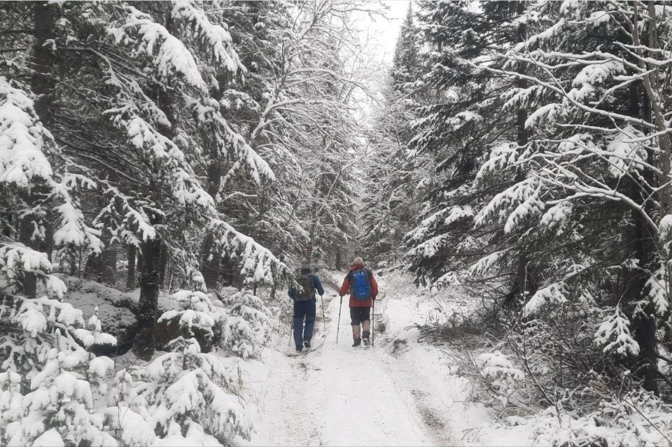 Фото: Ирина Якунина