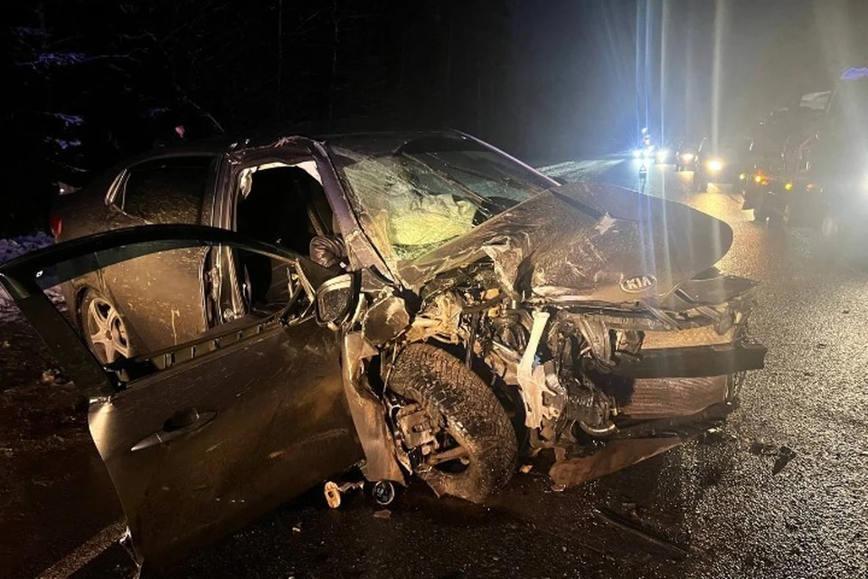 Пострадавших госпитализировали. Фото: Госавтоинспекция Удмуртии