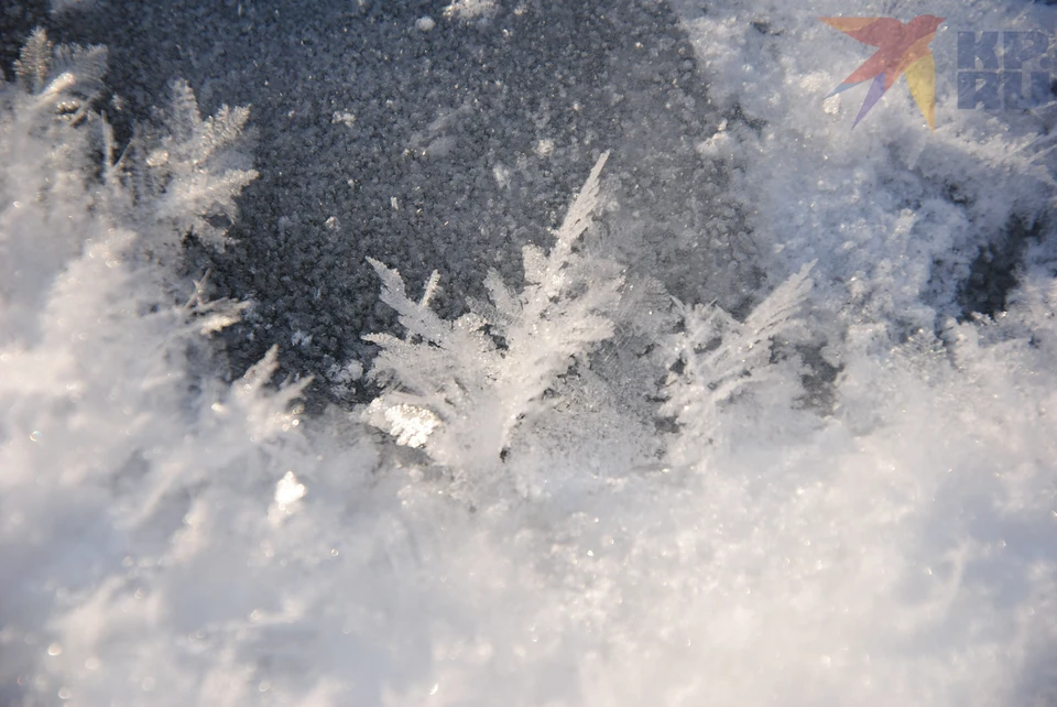 Осадков не ожидается, будет переменная облачность.