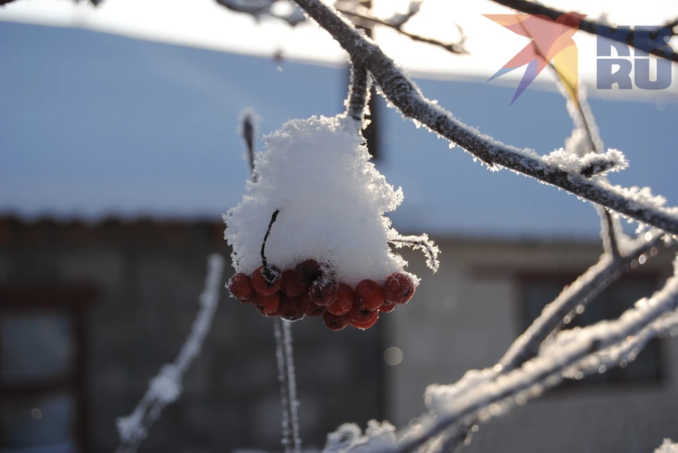 В западных и центральных районах усилится ветер до 9-14 м/с.