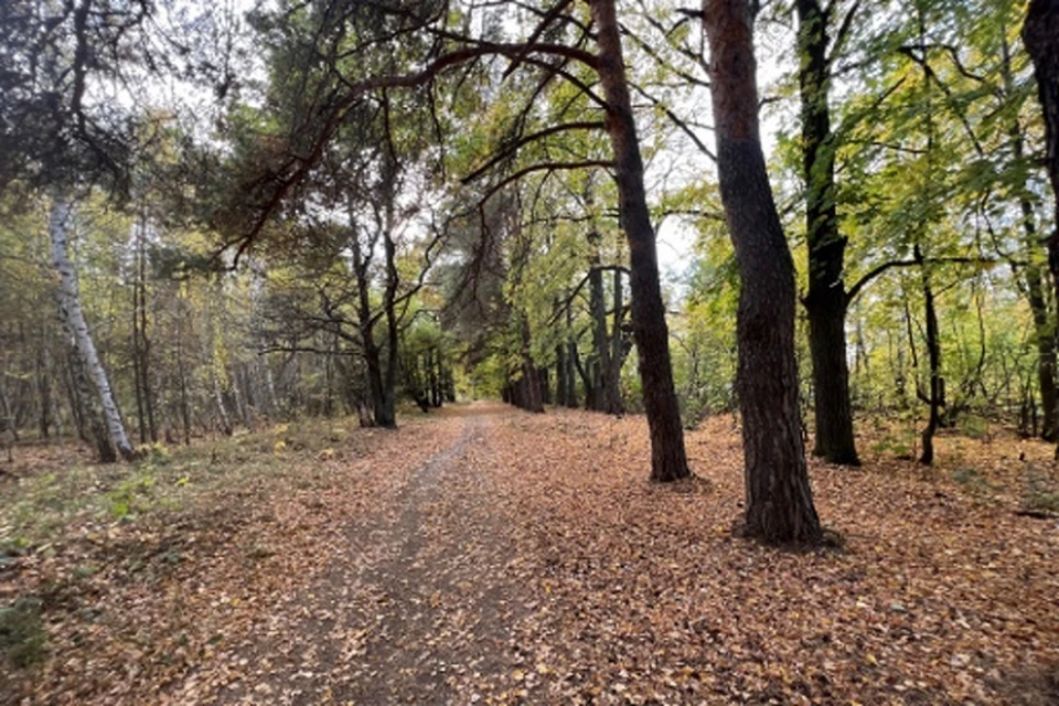 Объект находится на территории Верхнеуслонского района Татарстана. Фото: Комитет РТ по охране ОКН