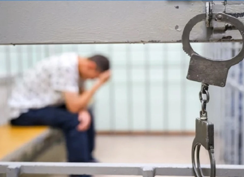 Обвиняемый заключен под стражу на два месяца.