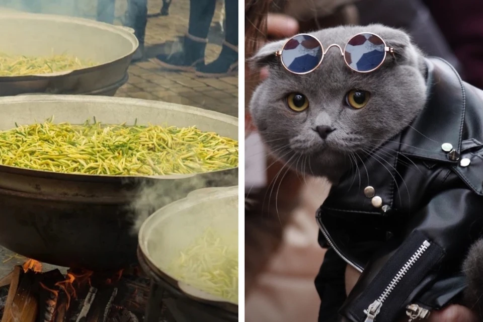 ЧЕЧНЯ. Веденский район взорвал фестиваль черемши