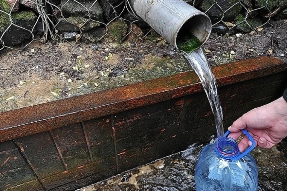 Ученый Гречушникова: проверить чистоту воды дома можно с помощью чая или мыла