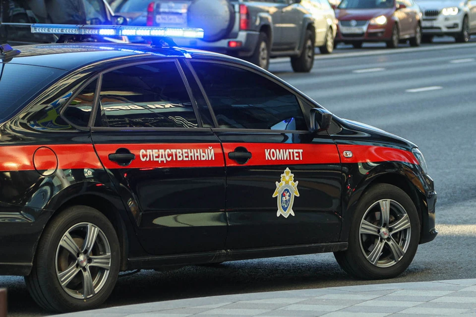 В Оренбуржье возбудили дело о посягательстве на жизнь сотрудников полиции. Фото: Bulkin Sergey/news.ru/Global Look Press