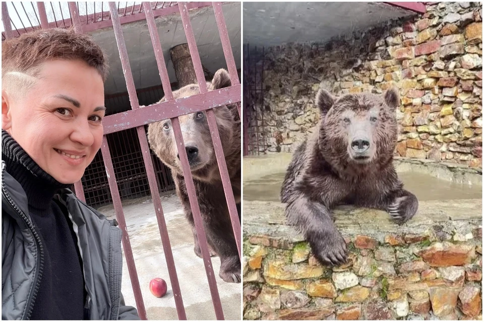 Анна Осипова и медведь Степан. Фото: Медведь Степан | Новая жизнь на Зюраткуле / vk.com