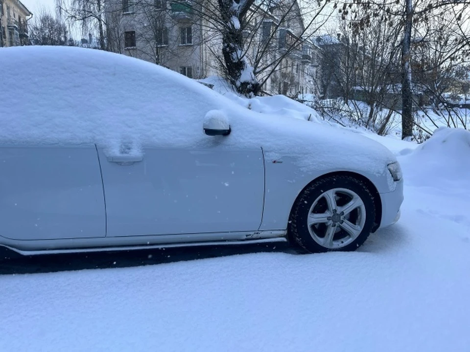 Фото: фотоархив портала "КП в Костроме"