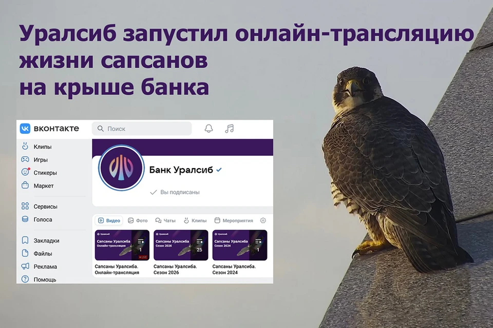 Фото: Пресс-служба ПАО «БАНК УРАЛСИБ»