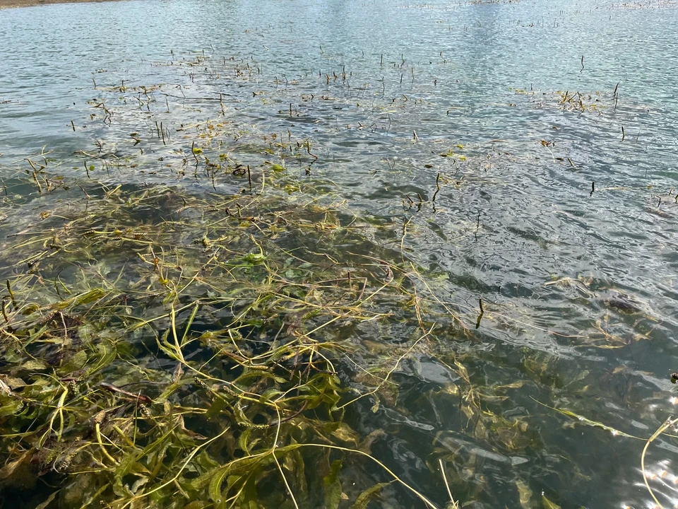 В Кирсе и Советске уровень воды вырос на 5 см.
