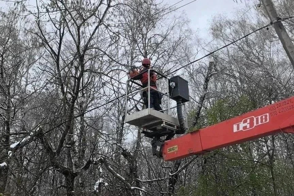 Во многих районах поваленные ветром деревья повредили ЛЭП. Фото: «Россети Центр и Приволжье» – «Рязаньэнерго».