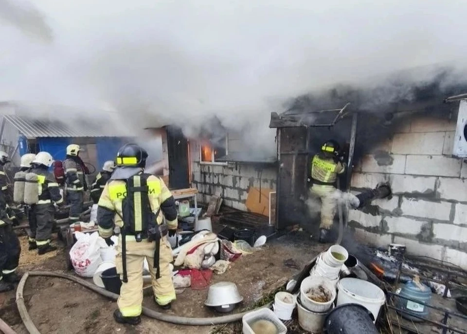 МЧС показало видео пожара в нижегородском питомнике, где погибли 200 собак.