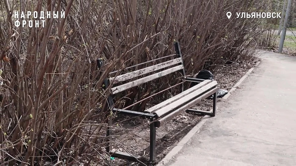 Вандалы сломали 12 лавочек на аллее Карбышева в Заволжье Ульяновска | ФОТО: скриншот с видео
