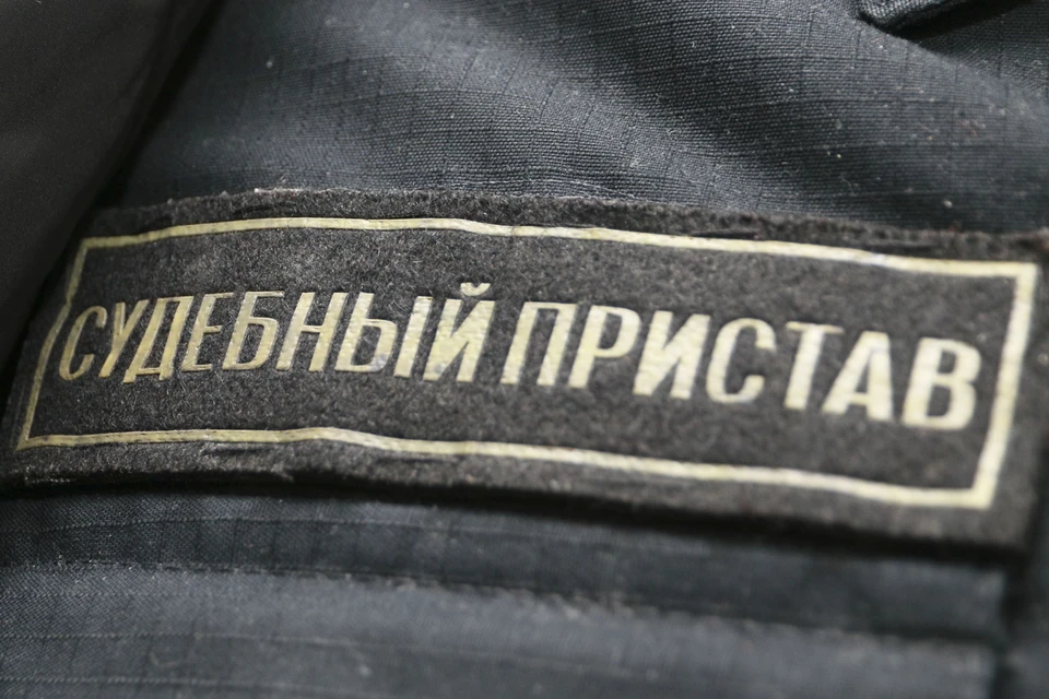 Реестр злостных неплательщиков алиментов — общедоступный сервис