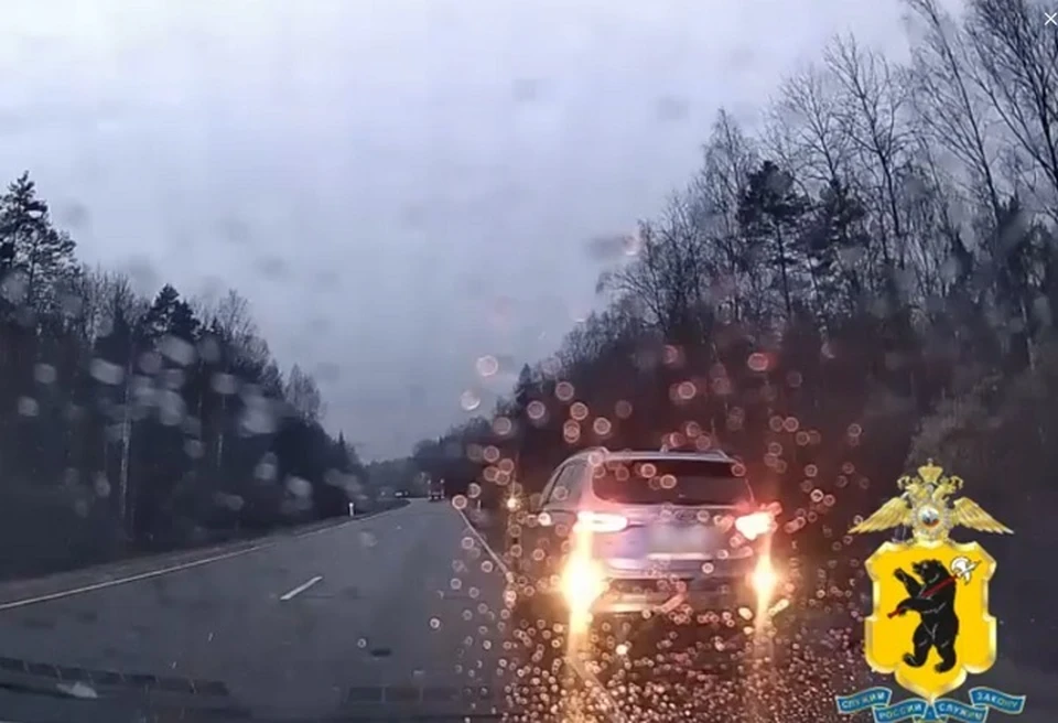 В Угличском районе задержали угонщиков.