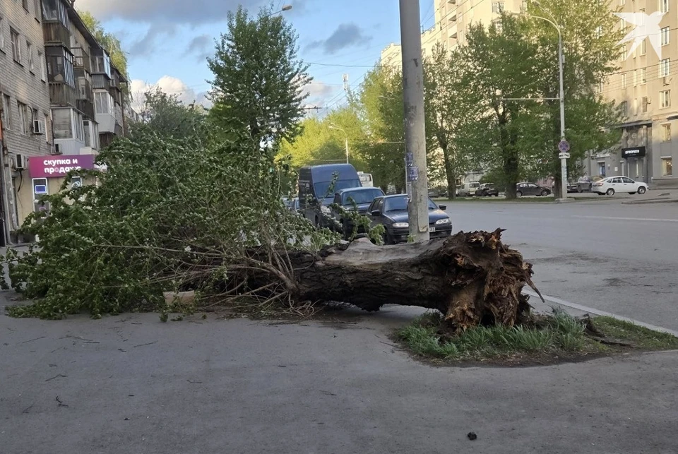 Ураган повалил десятки деревьев в Екатеринбурге