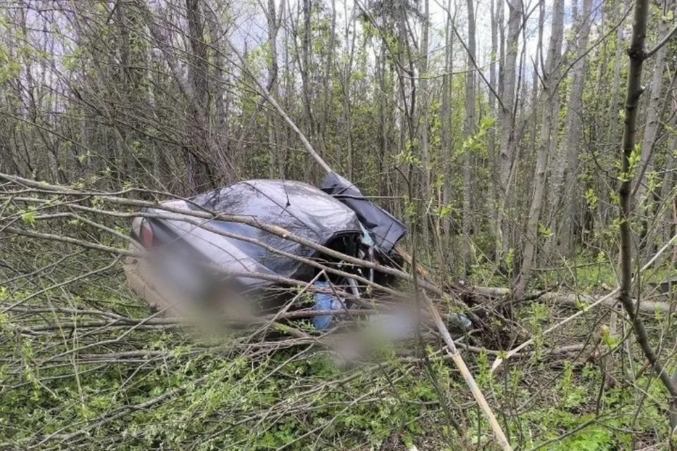 В аварии погибла его 15-летняя пассажирка. Фото: Госавтоинспекция Удмуртии