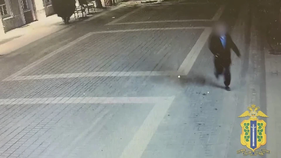 Злоумышленник забрал сумку и убежал. Скриншот видеозаписи, предоставленной УМВД России по Липецкой области.