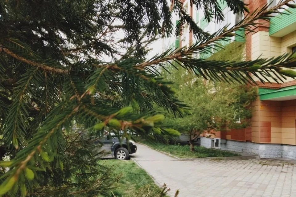 В регионе наступают самые теплые дни недели