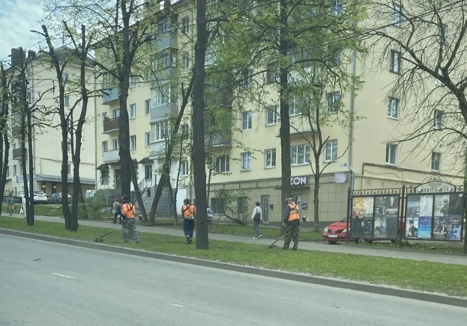 Фото: пресс-служба администрации города Костромы