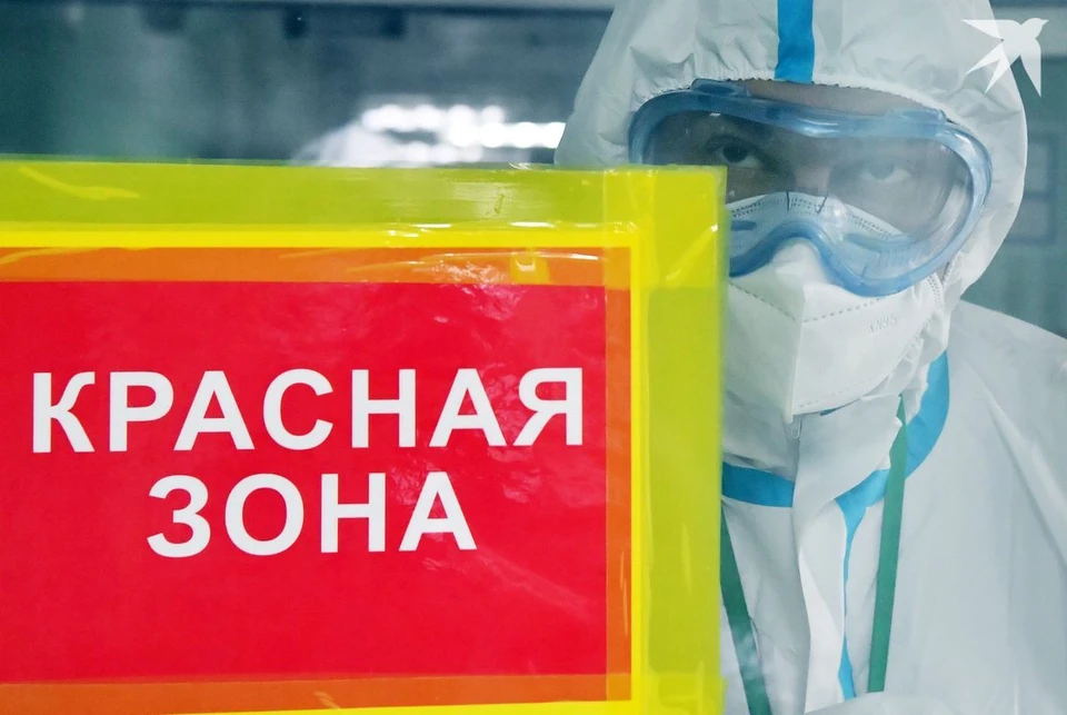 Два штамма хантавируса, которые циркулируют в Беларуси, не передаются от человека к человеку, а вот штамм "Андес", который был отмечен на круизном лайнере, передается. Фото носит иллюстративный характер.
