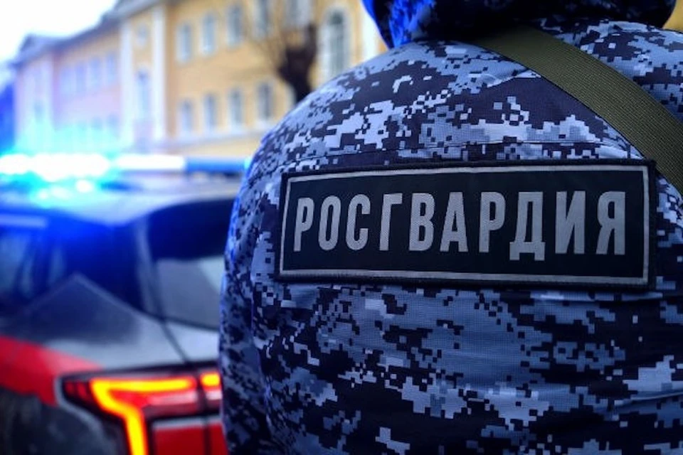 Росгвардейцы задержали недобросовестных покупателей строймагов в Подмосковье. Фото: пресс-служба ГУ Росгвардии