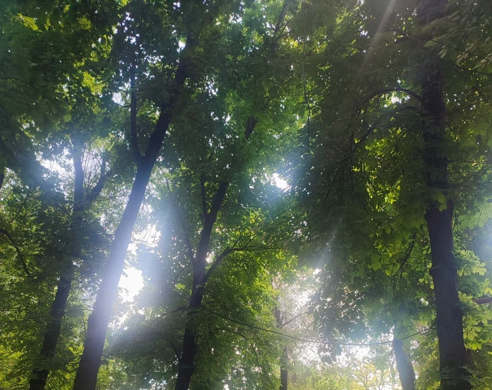 Фото: КП