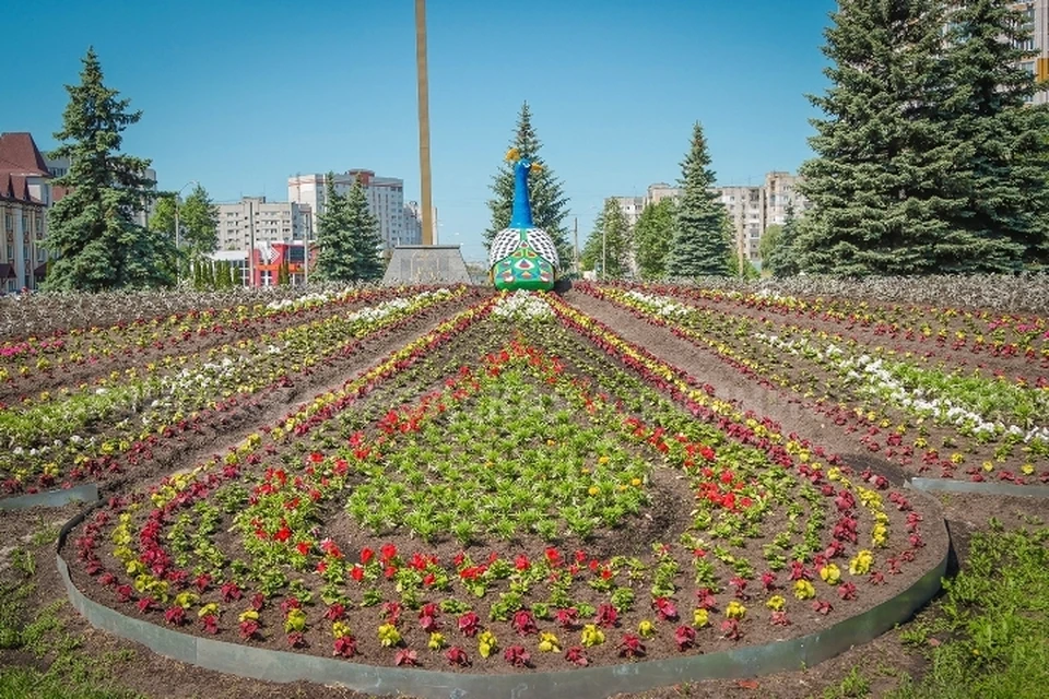 Фото: пресс-служба Брянской городской администрации.
