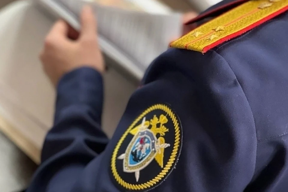 Фото: Следственное управление СК РФ по Пермскому краю